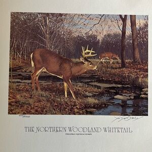 Lee Le Blanc 1981 Northern Woodland Whitetail Stamp, Print, Signed, Numbered